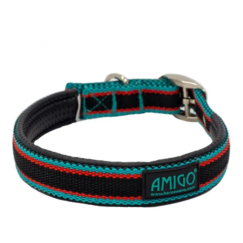 Horseware Amigo Dog Collar - Black/Teal/Dark Cherry